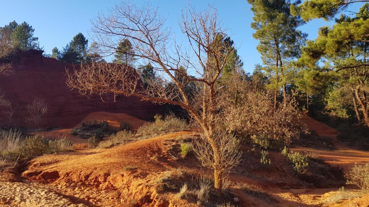 Gite Hanna En Luberon - Le Boisset De St Martin De Castillon Saint-Martin-de-Castillon 외부 사진