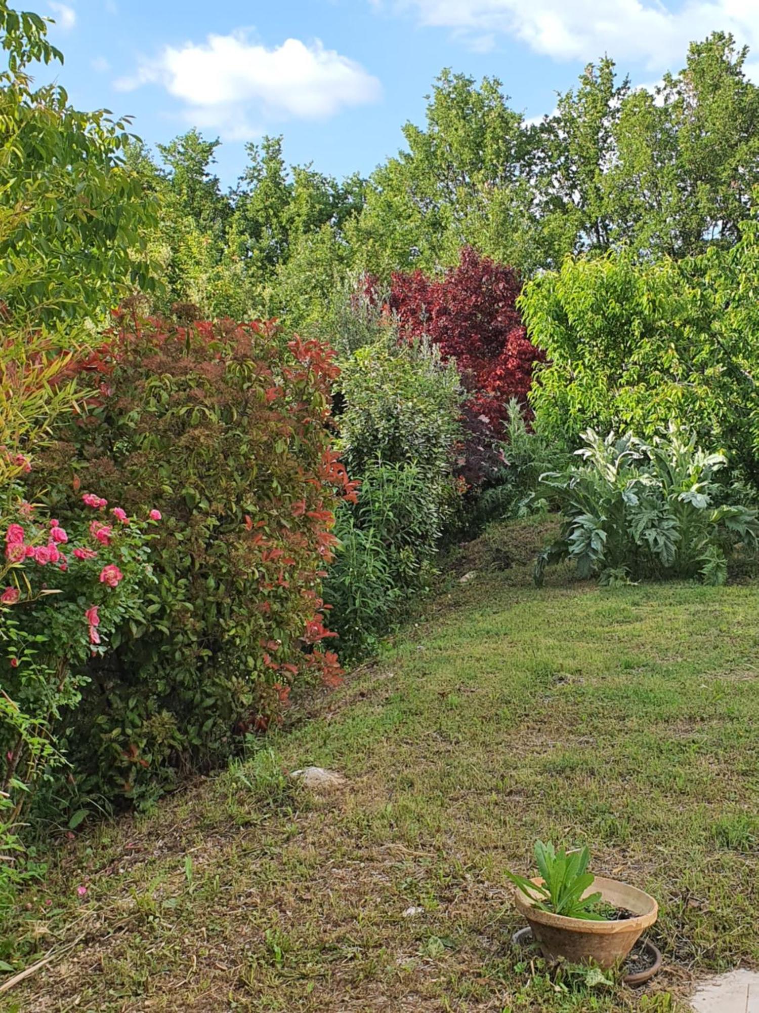 Gite Hanna En Luberon - Le Boisset De St Martin De Castillon Saint-Martin-de-Castillon 외부 사진